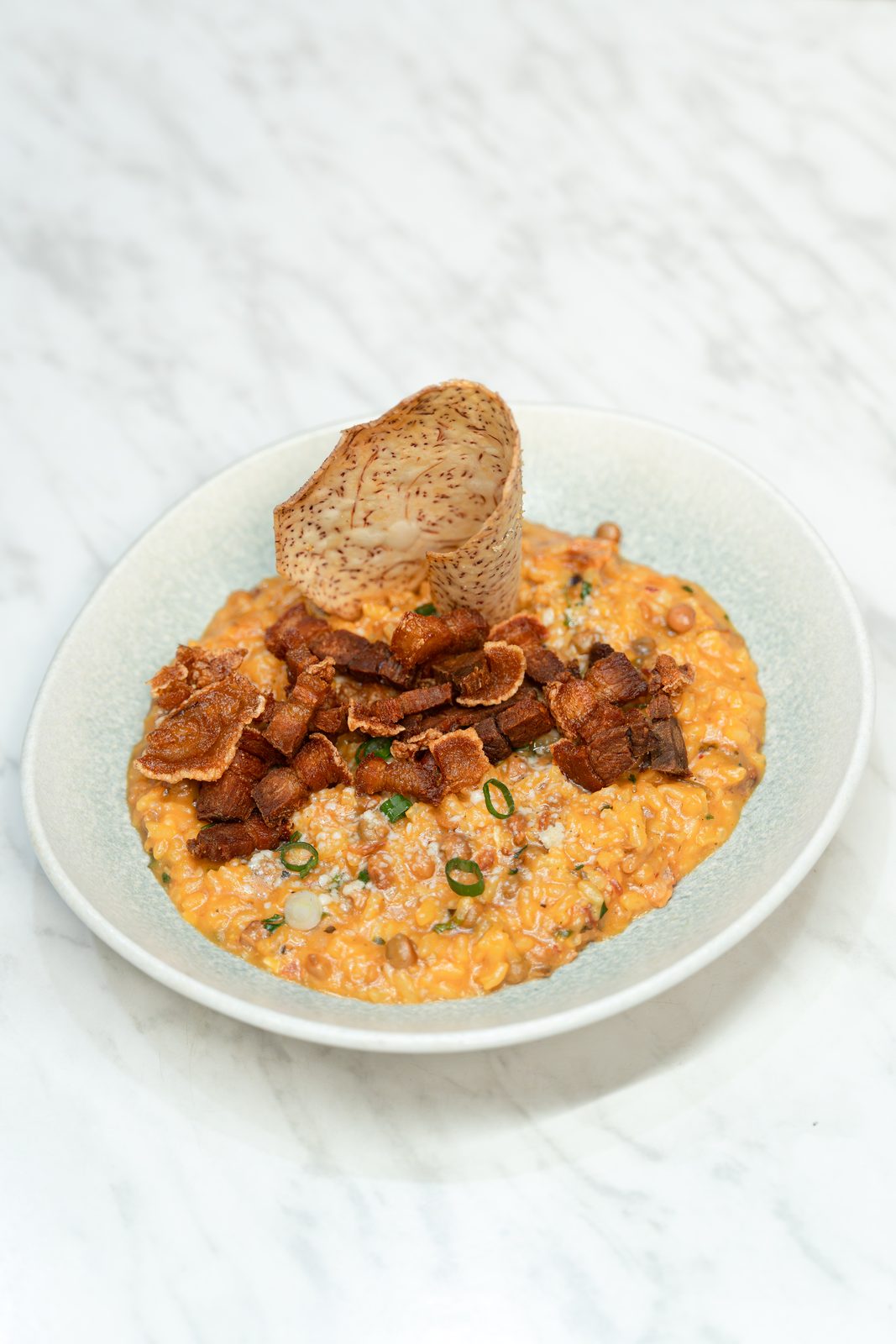 Risotto Puro Jíbaro